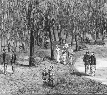 'Botanic Gardens, Ballarat' (detail) in the 'Australasian Sketcher', Alfred May and Alfred Martin Ebsworth (publishers), print: wood engraving, Melbourne, 22 October 1881, State Library of Victoria, Accession No: A/S22/10/81/348